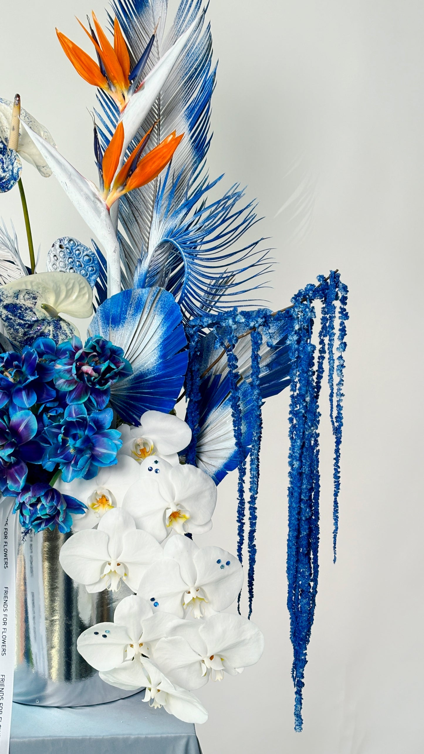 Box « Ice cold baby »