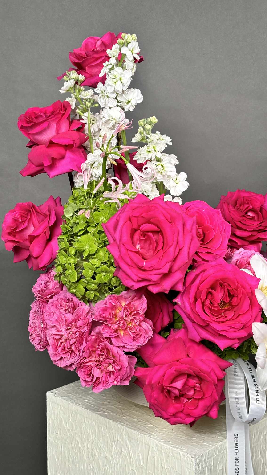Forever Fuchsia