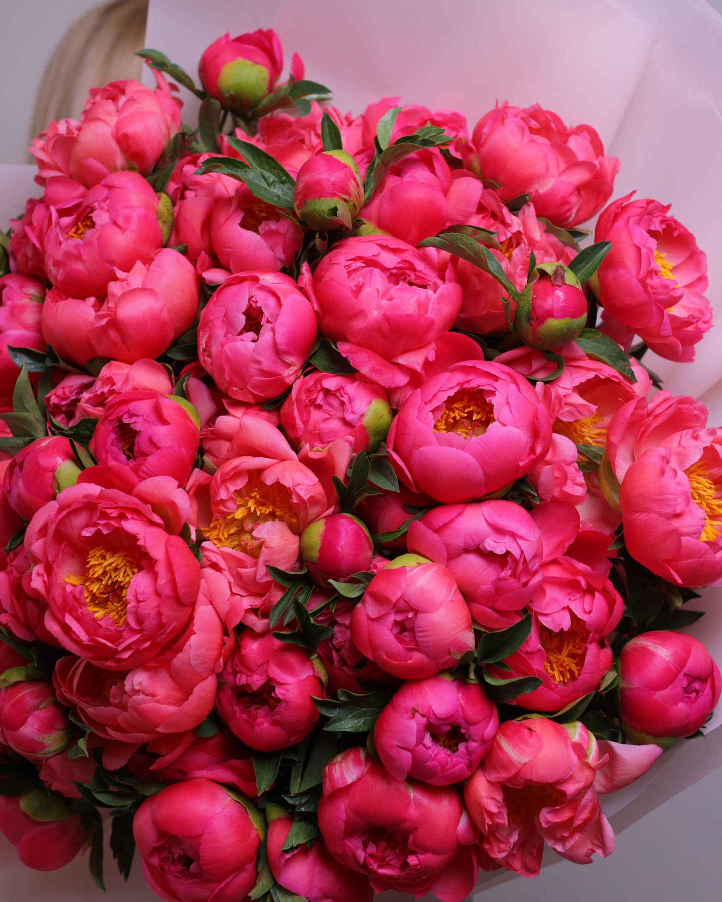 Mono bouquet of peonies