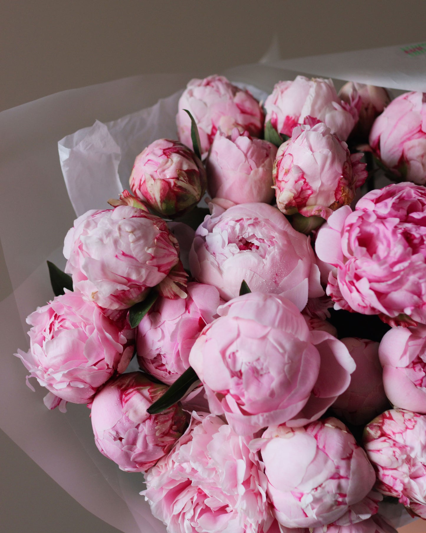 Mono bouquet of peonies