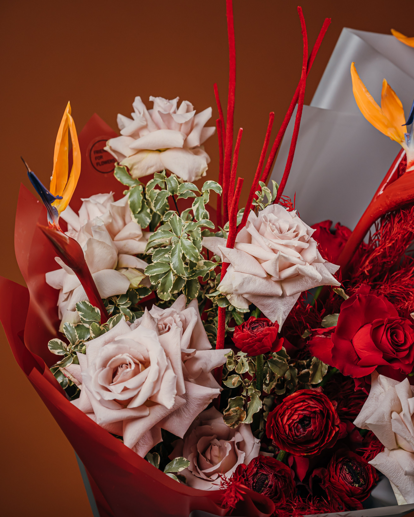 Cacadu in Love