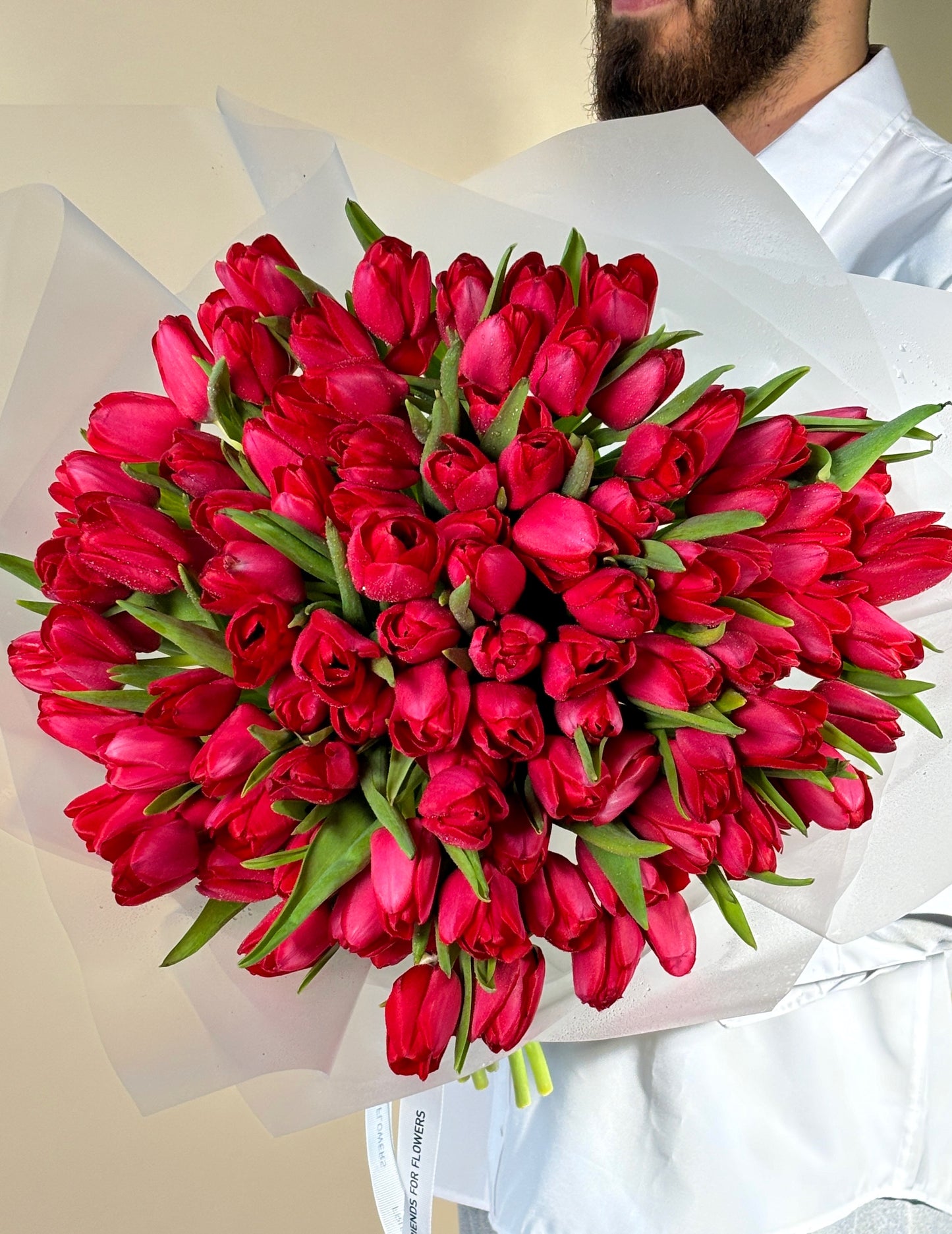Mono of red tulips