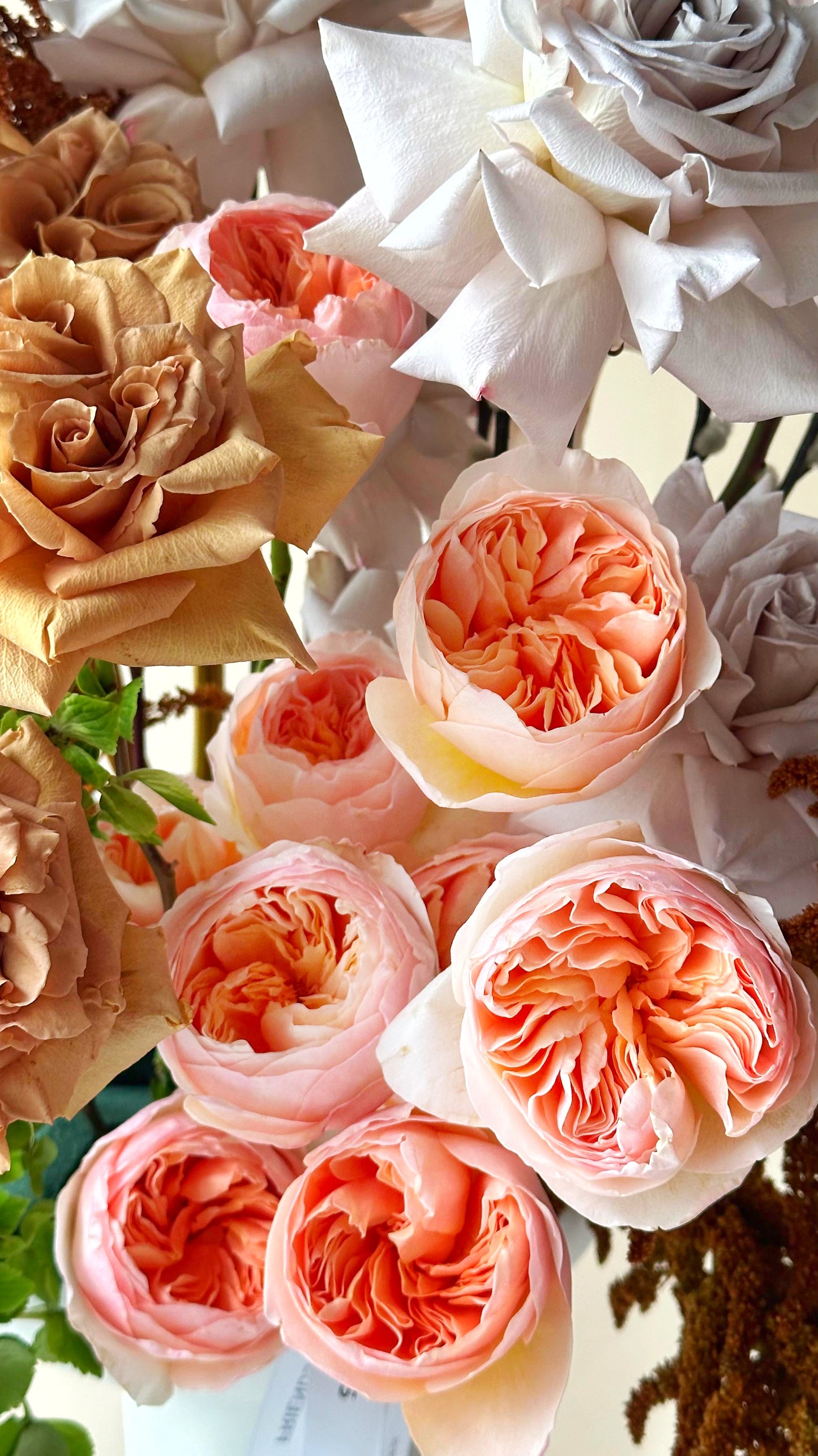 Arrangement "Split"
