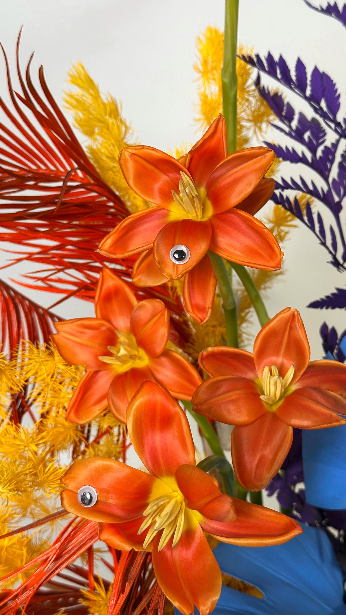 Arrangement "Sesame Street"
