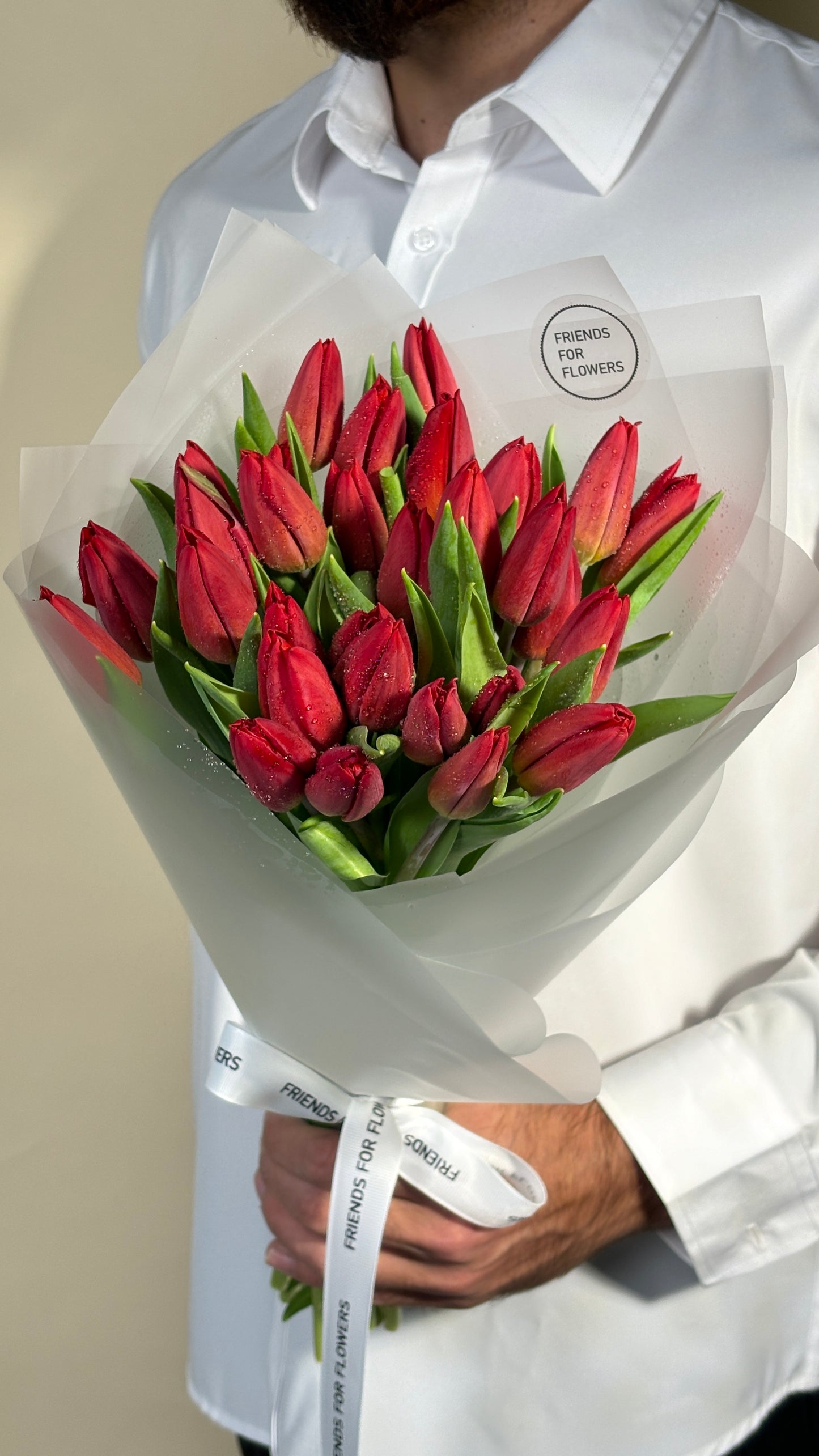 Mono of red tulips