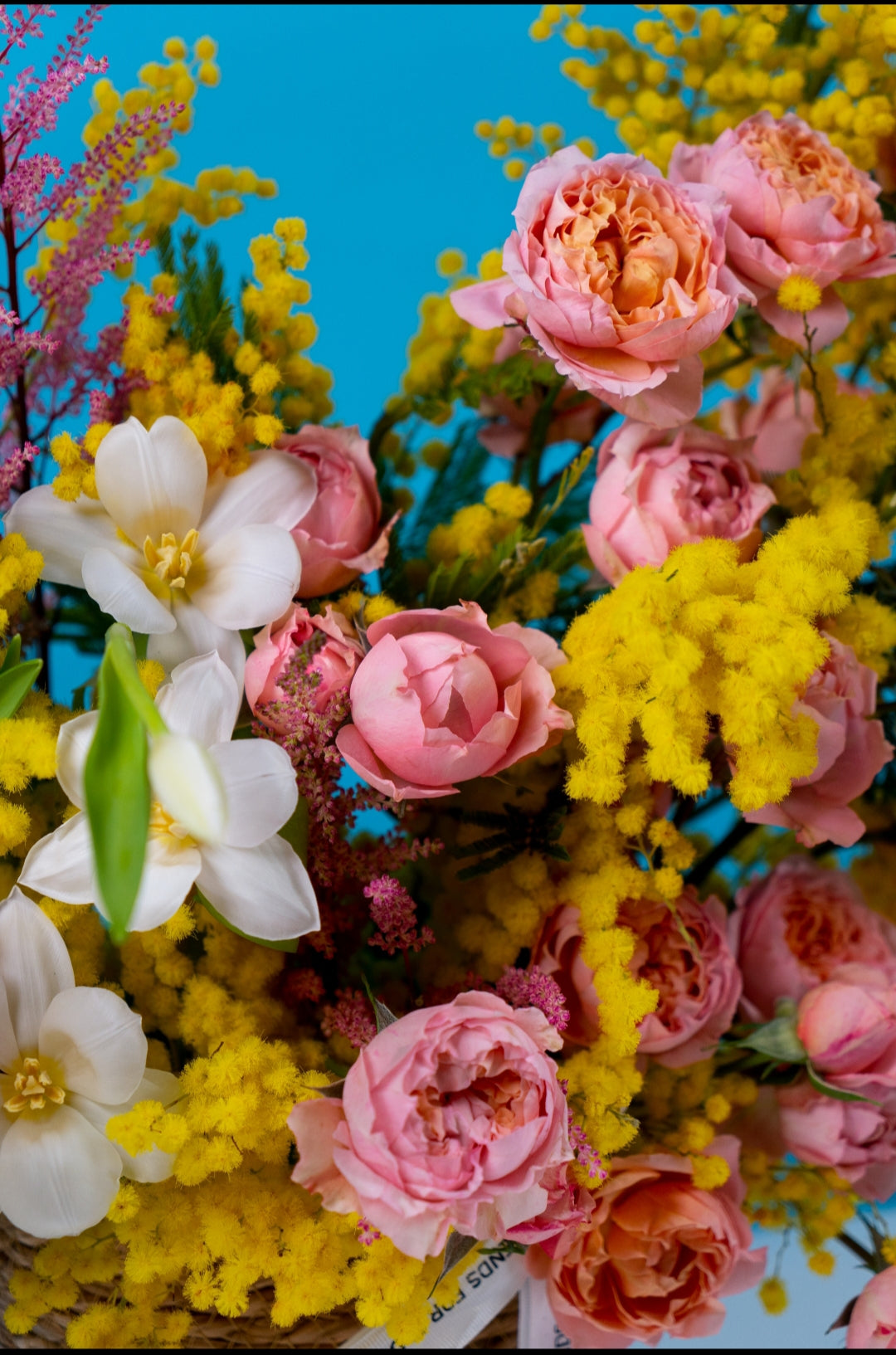 Basket “Spring bee”