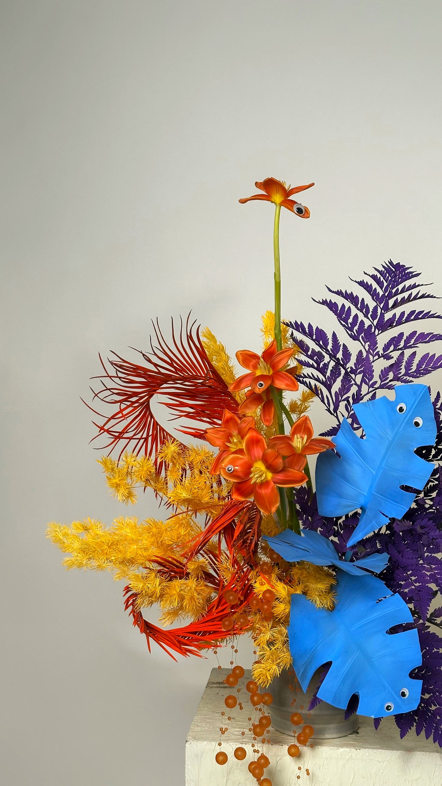 Arrangement "Sesame Street"