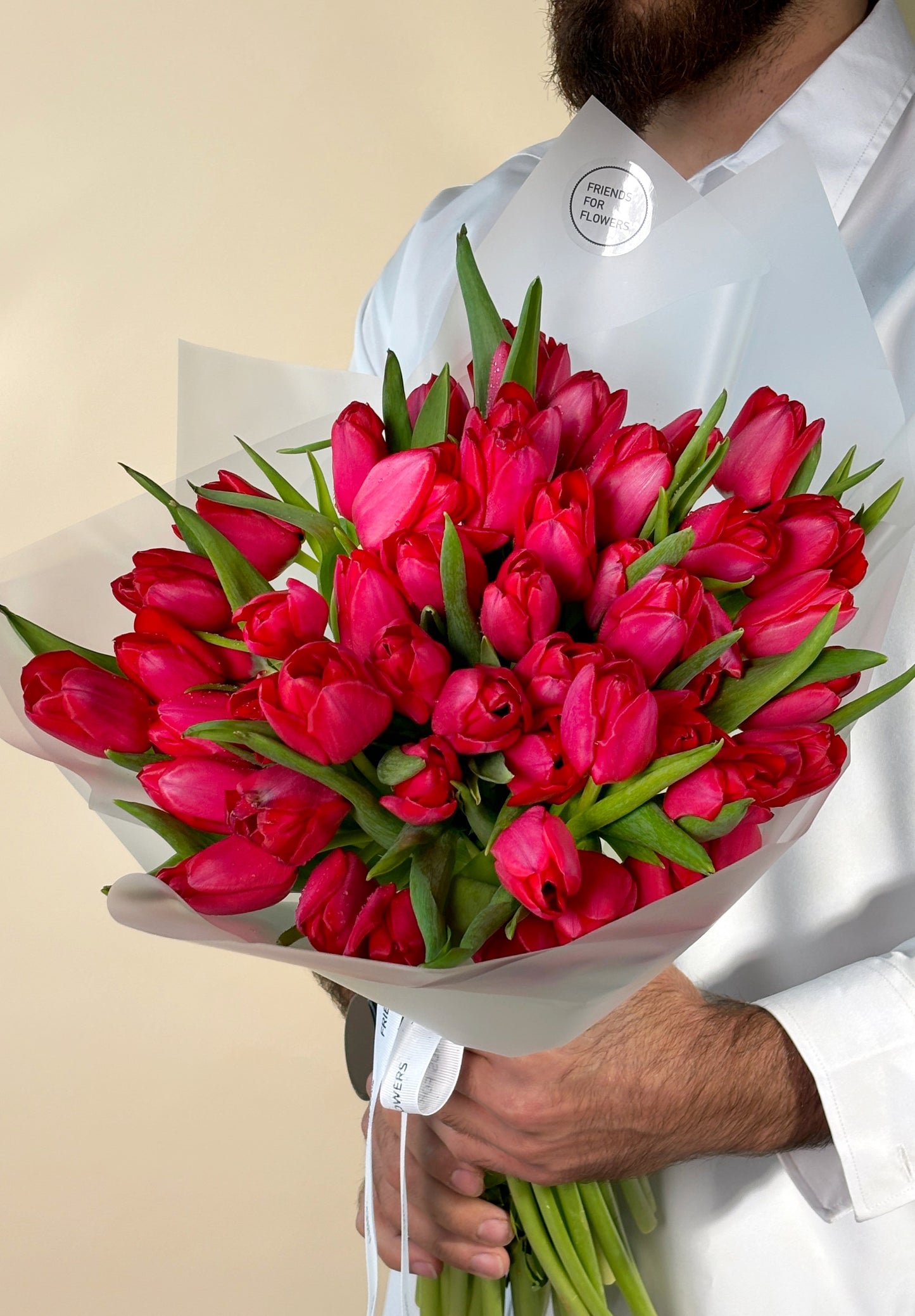 Mono of red tulips
