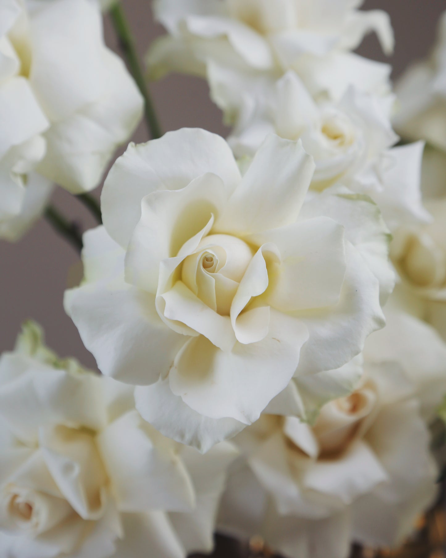 Flower arrangment 6