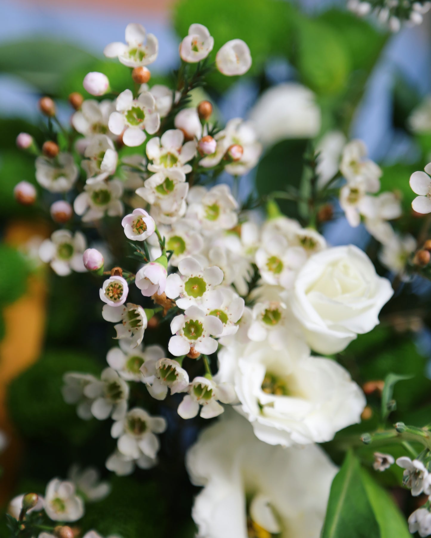 Flower basket "Green light"