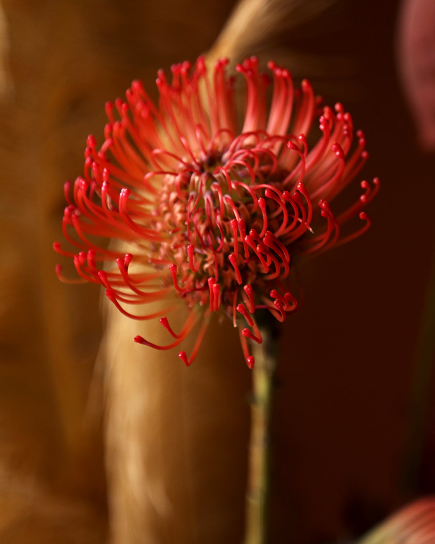 Flower Basket "The original sin"