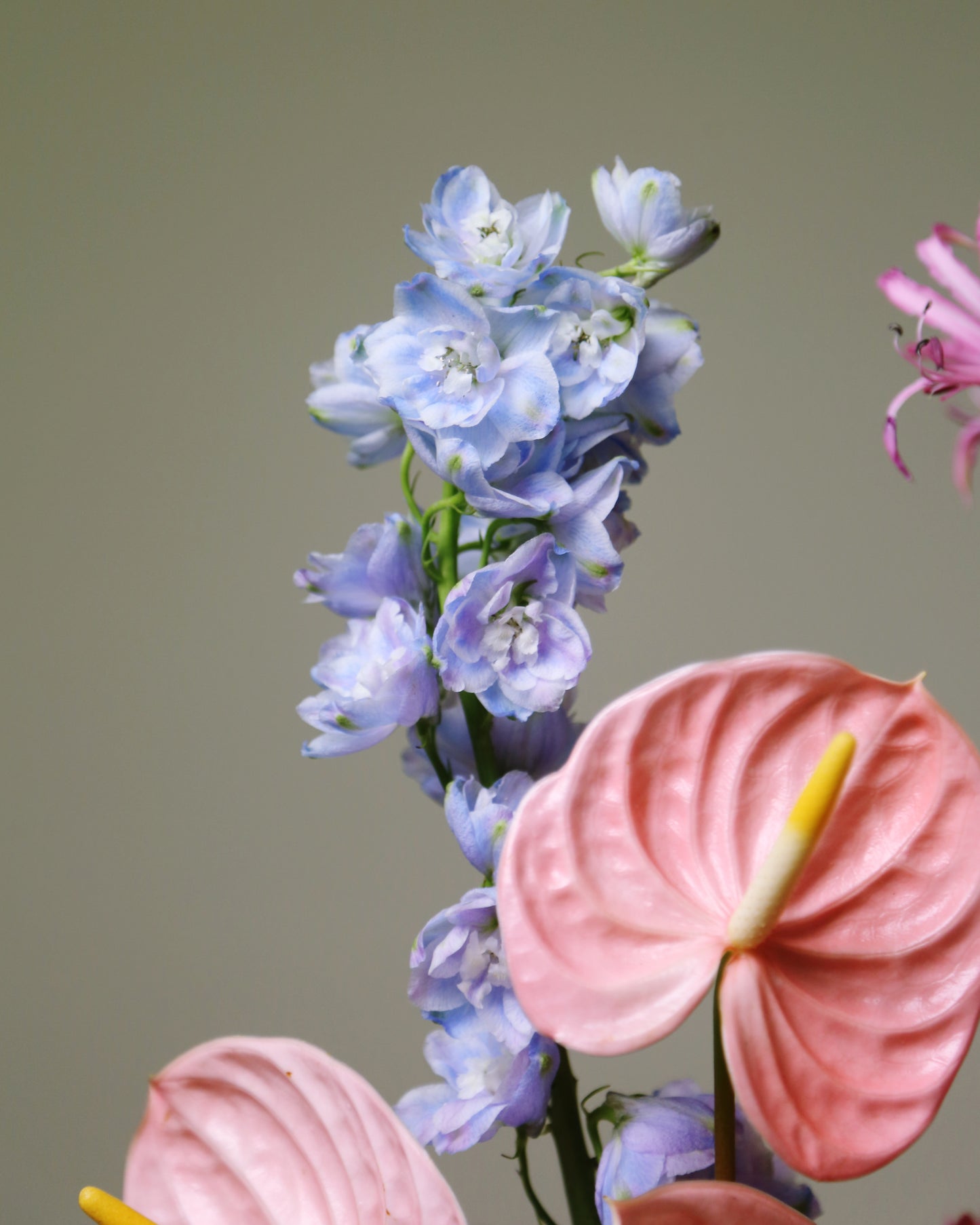 Gift arrangment "Pink rain"