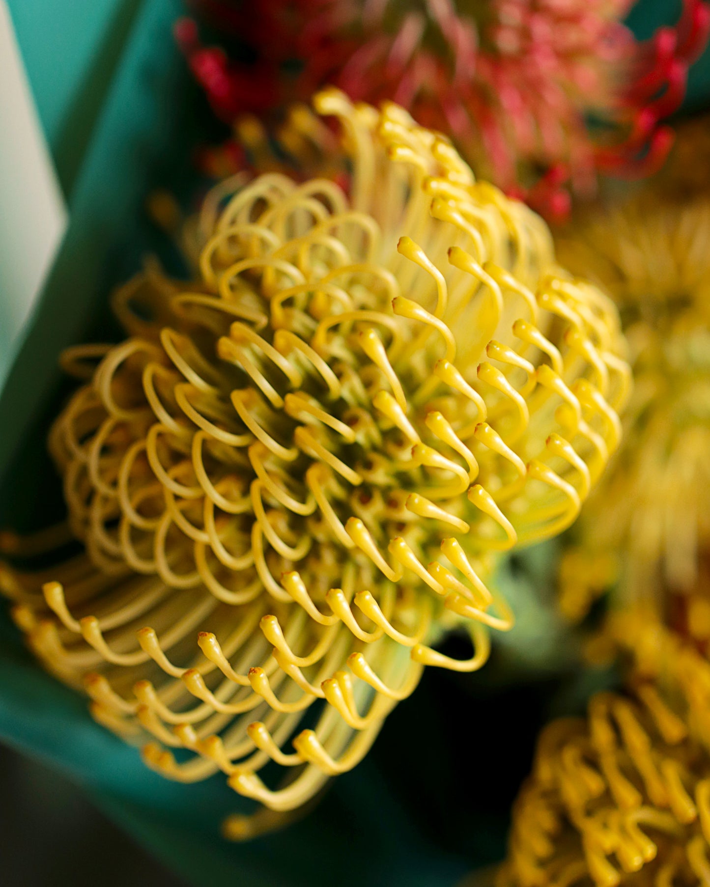 Bouquet "Sunset"