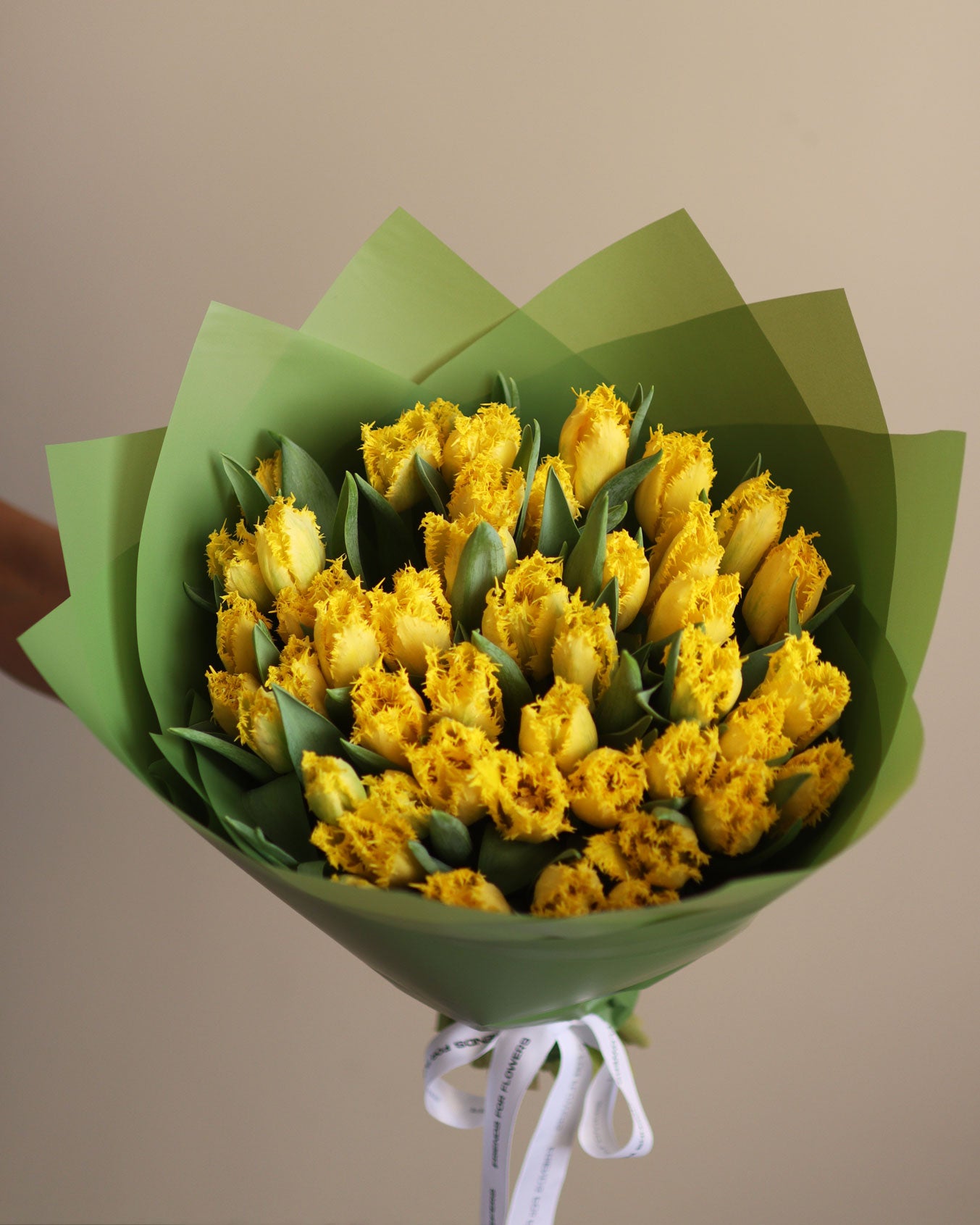 Mono of tulips