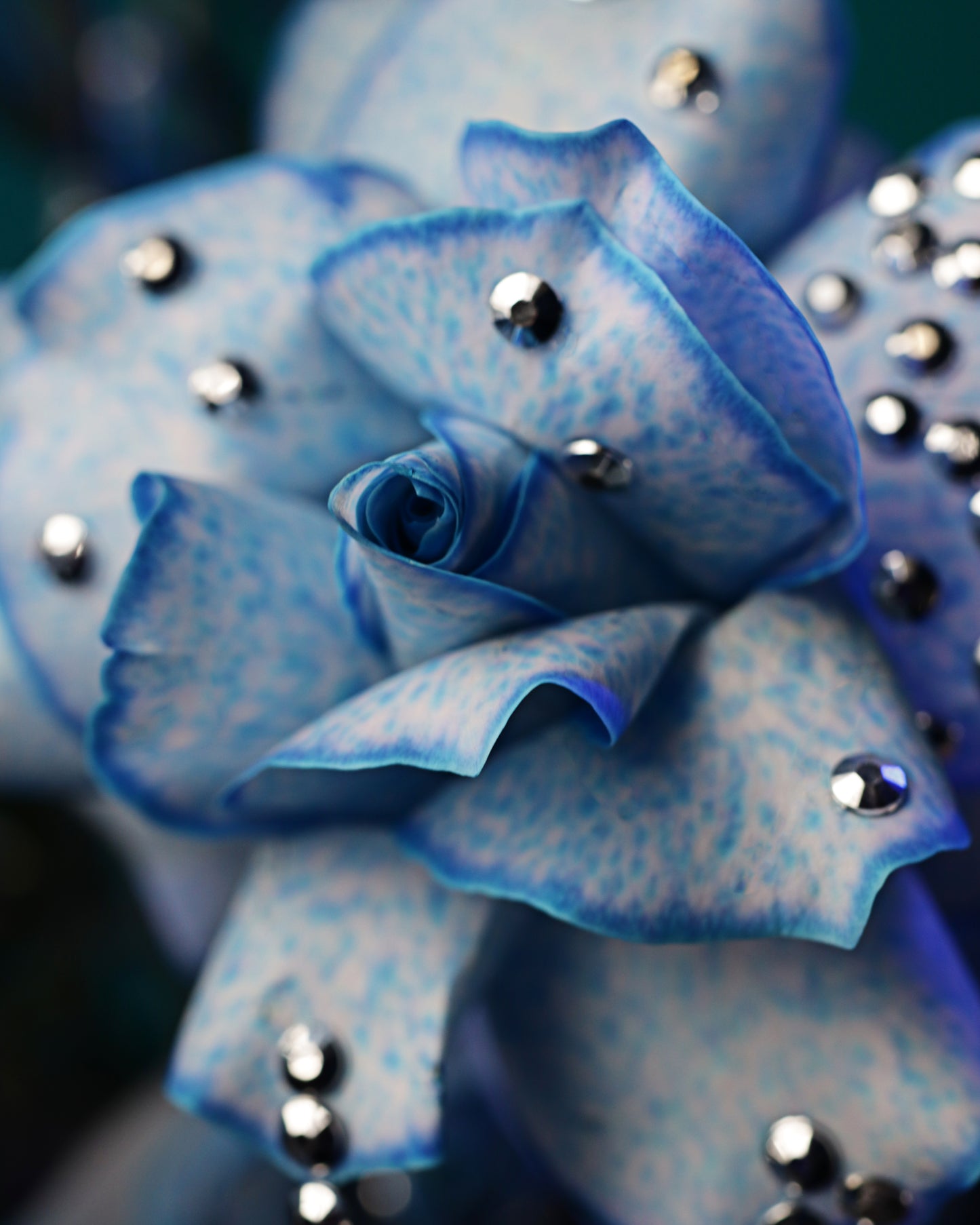 Gift arrangement "After the rain"