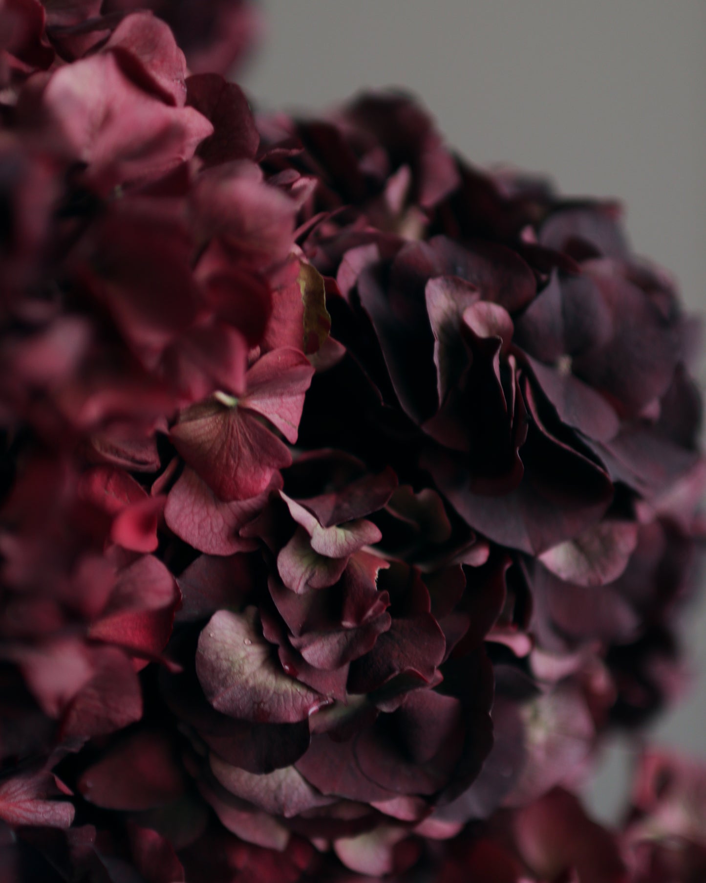 Bouquet "Dark love"