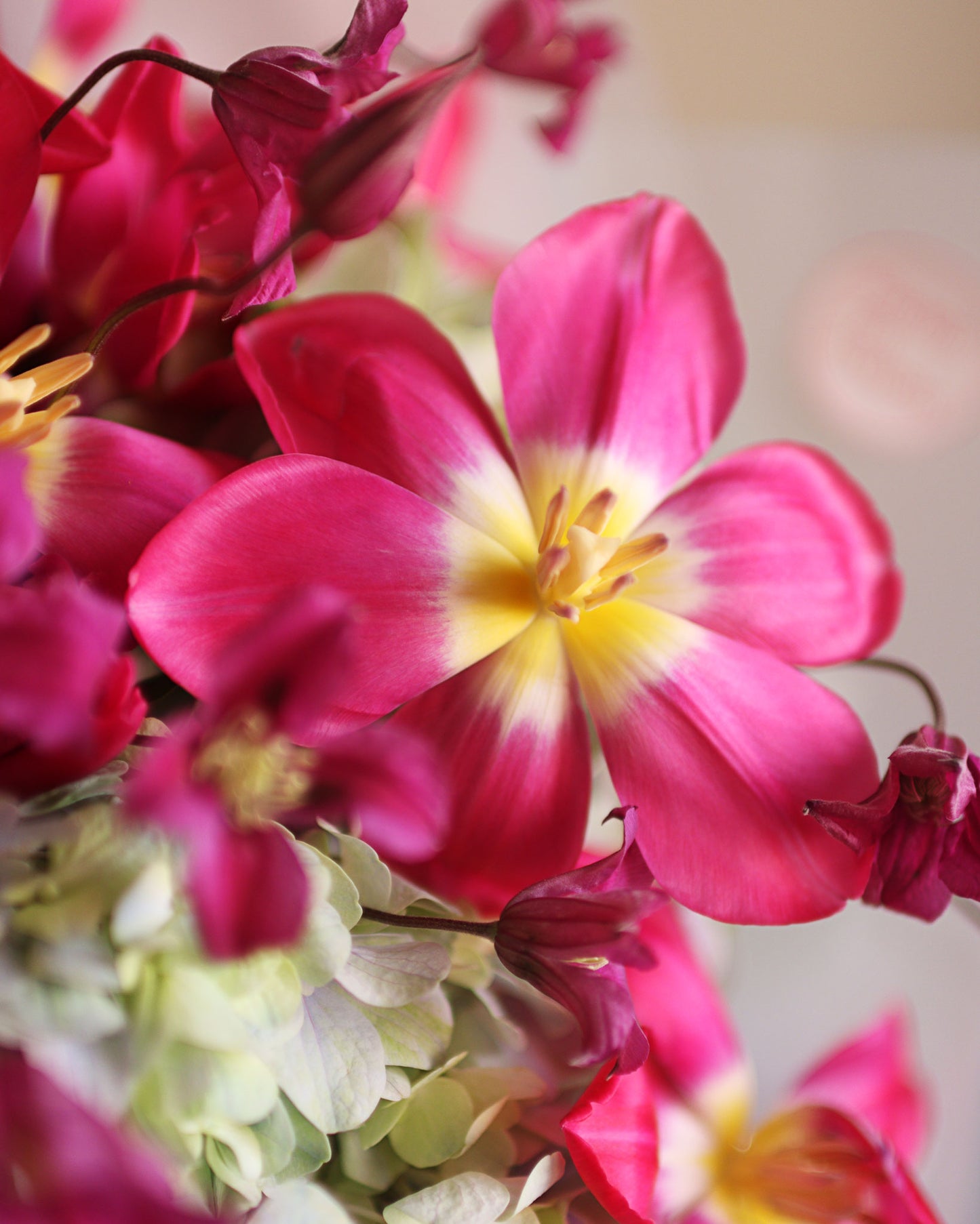 "Blooming color"