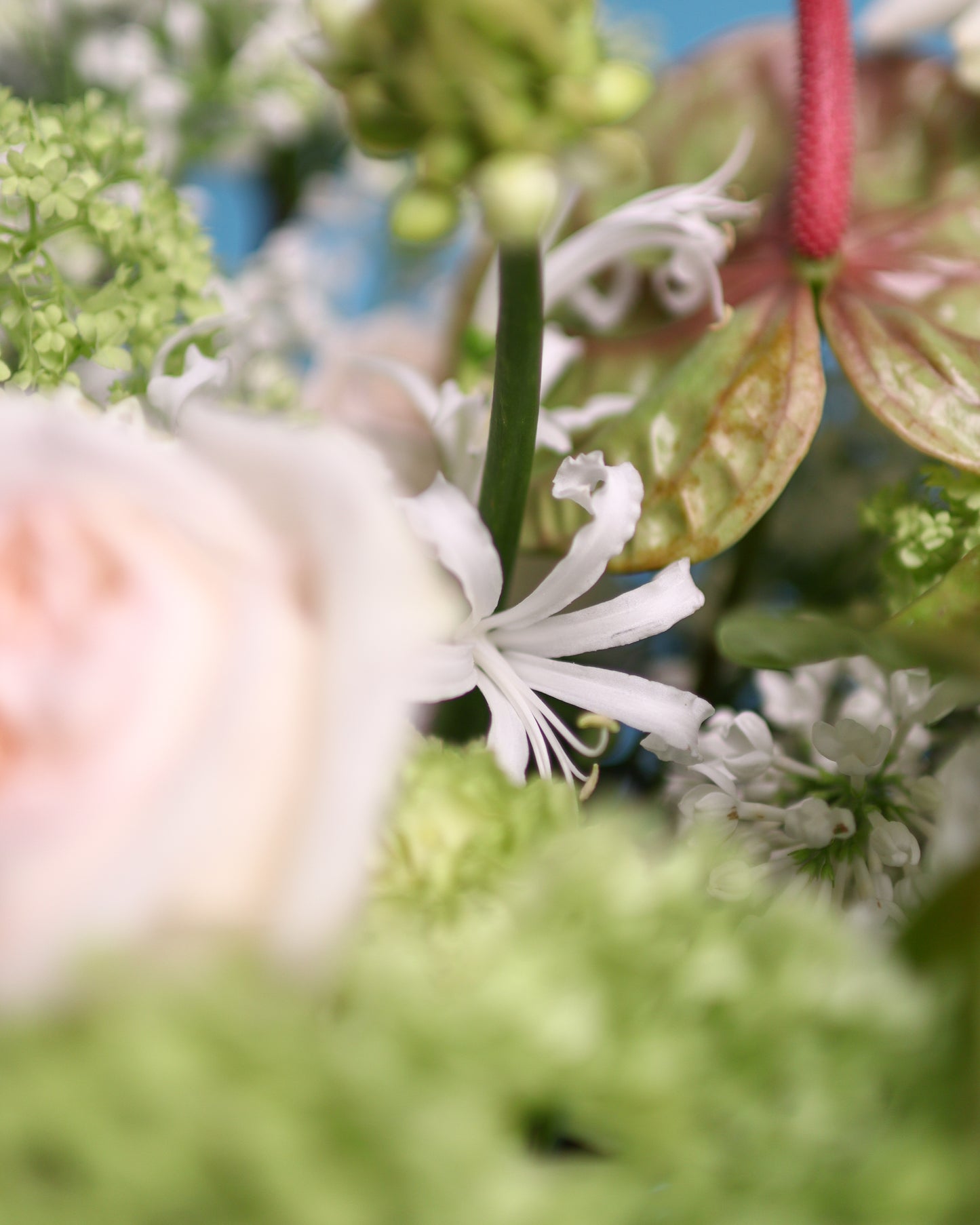 Bouquet "Green Pouder"