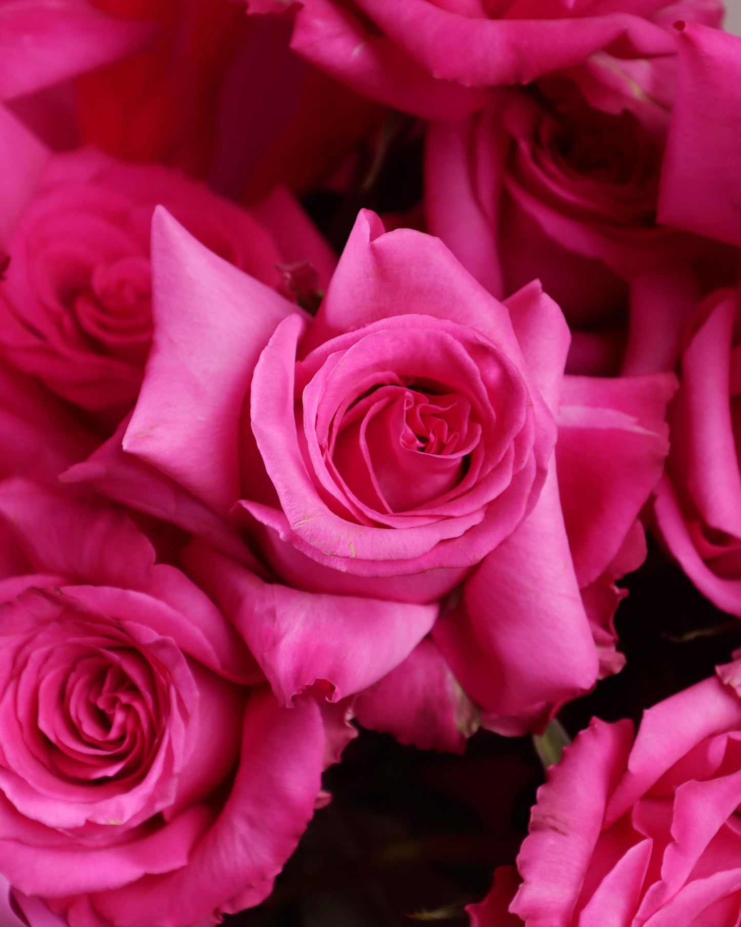 Bouquet "Pink lemonade"