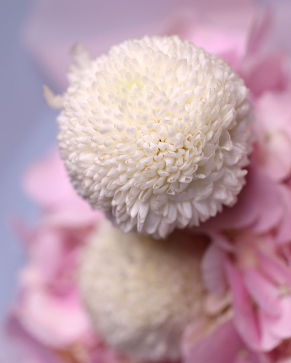 Bouquet "Color block"