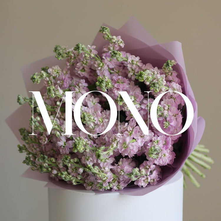 Mono
