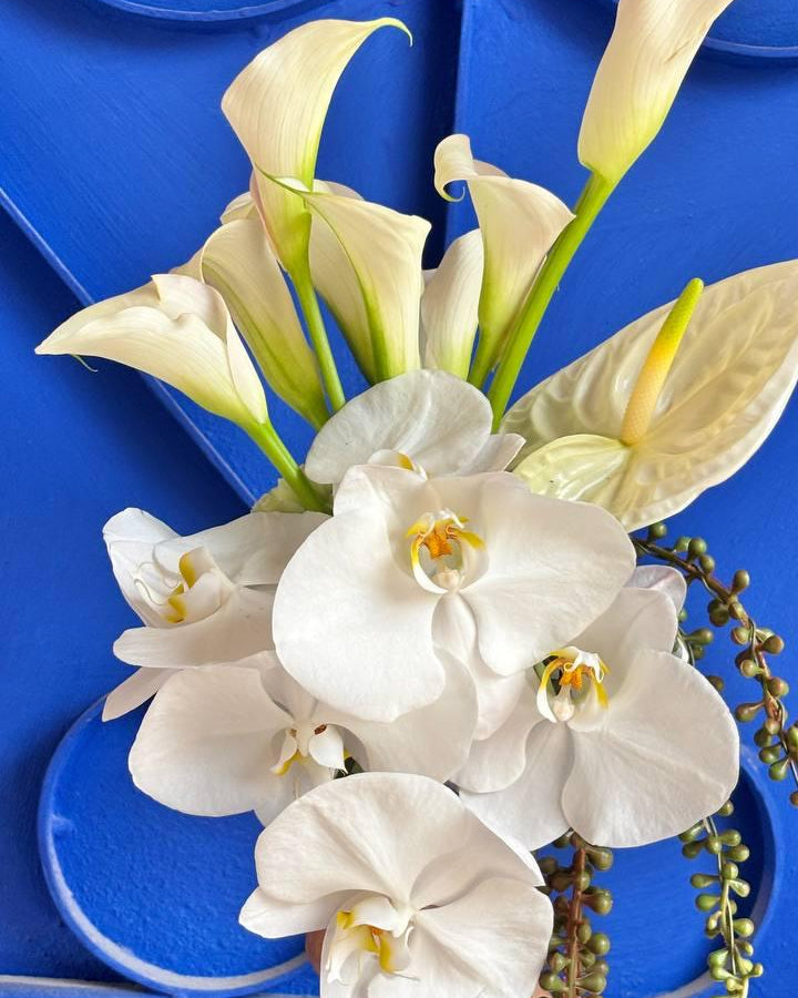 Elegant Chic