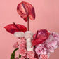 Arrangement "Blush & Whimsy Cascade"