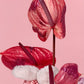 Arrangement "Blush & Whimsy Cascade"