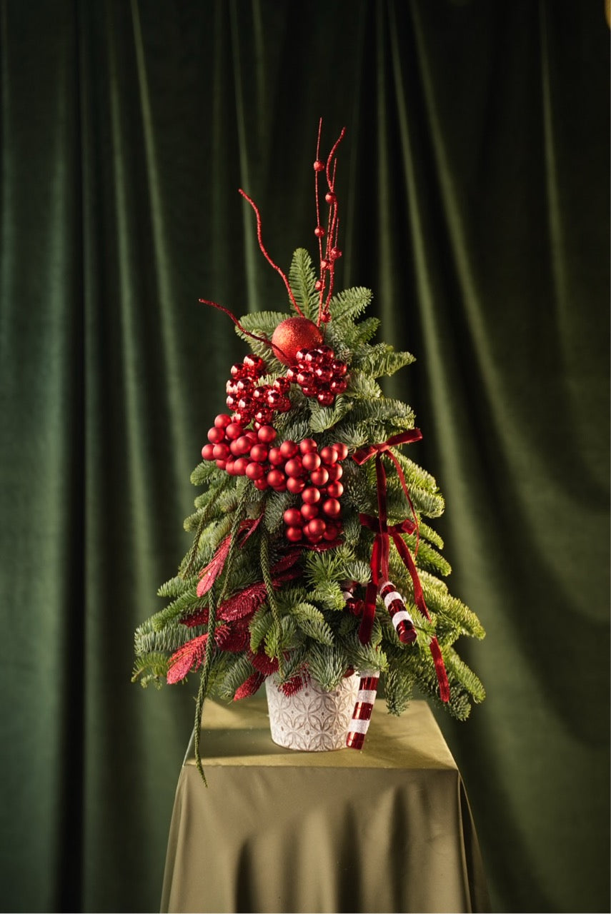 Festive tree "Ruby Red"