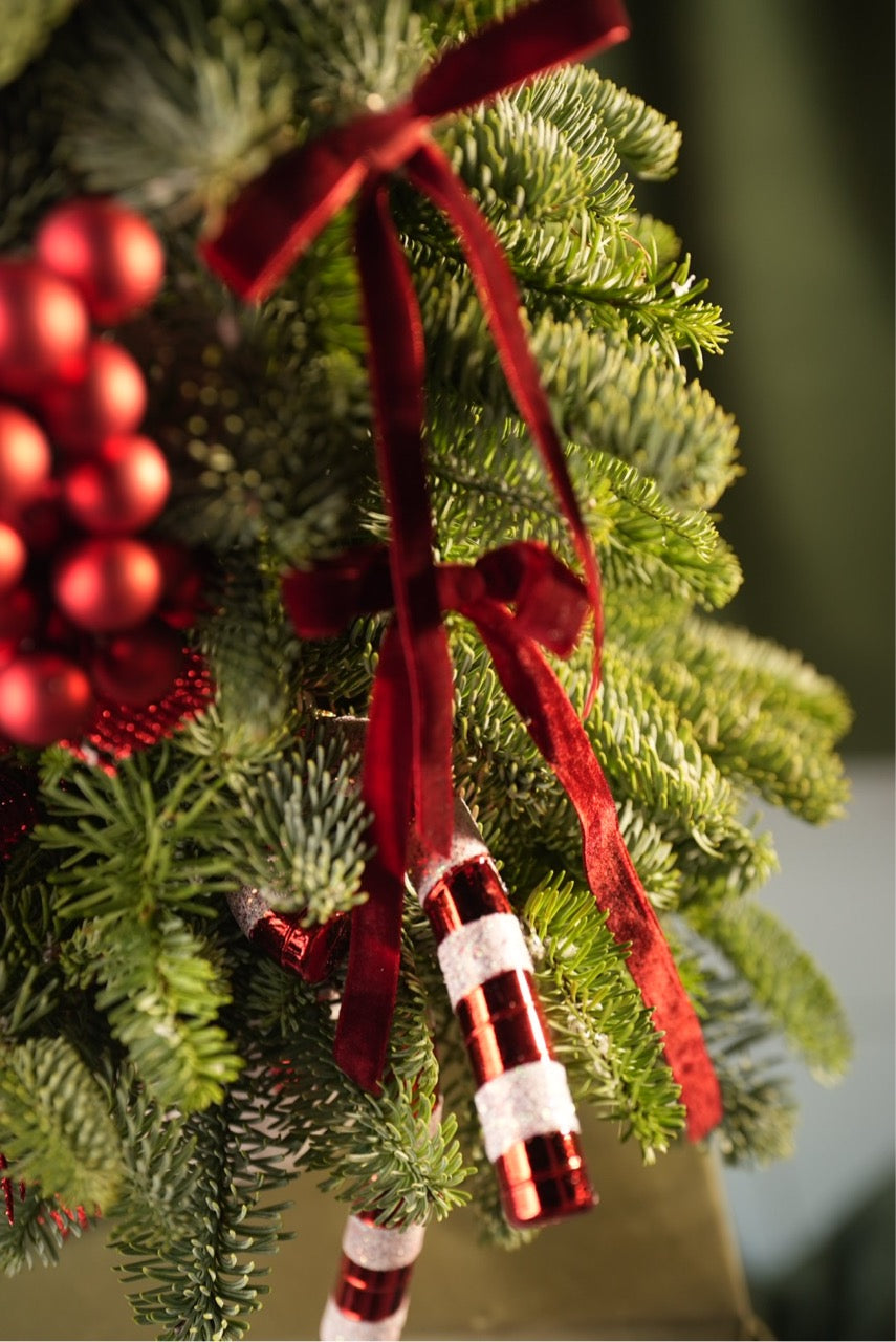 Festive tree "Ruby Red"