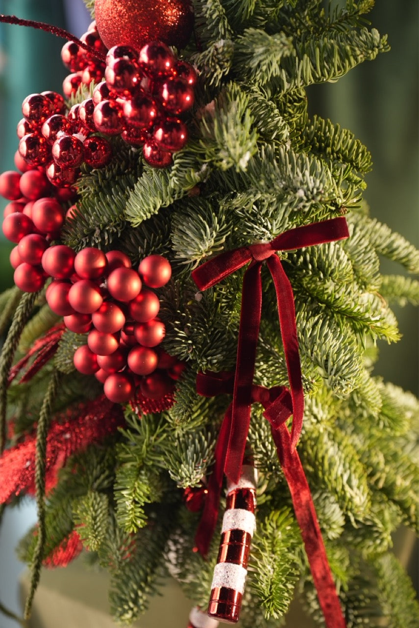 Festive tree "Ruby Red"