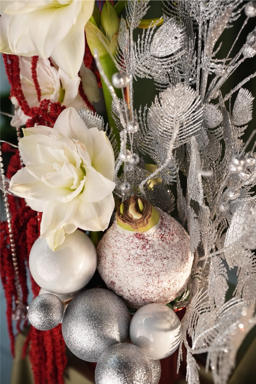 Arrangement “ Winter offering”