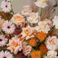 Apricot Nougat