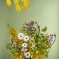 Spring Hurricane