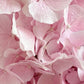 Box “Pretty in pink”