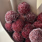 Pom Pom Obsession