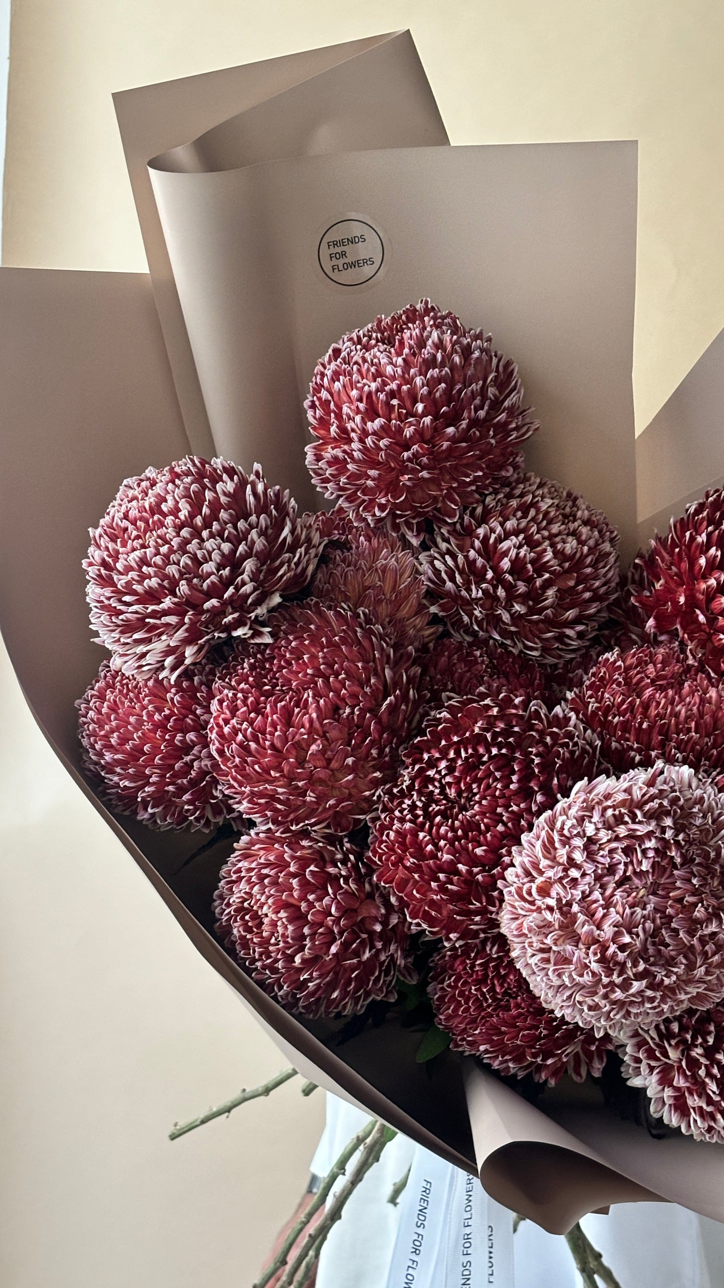 Pom Pom Obsession