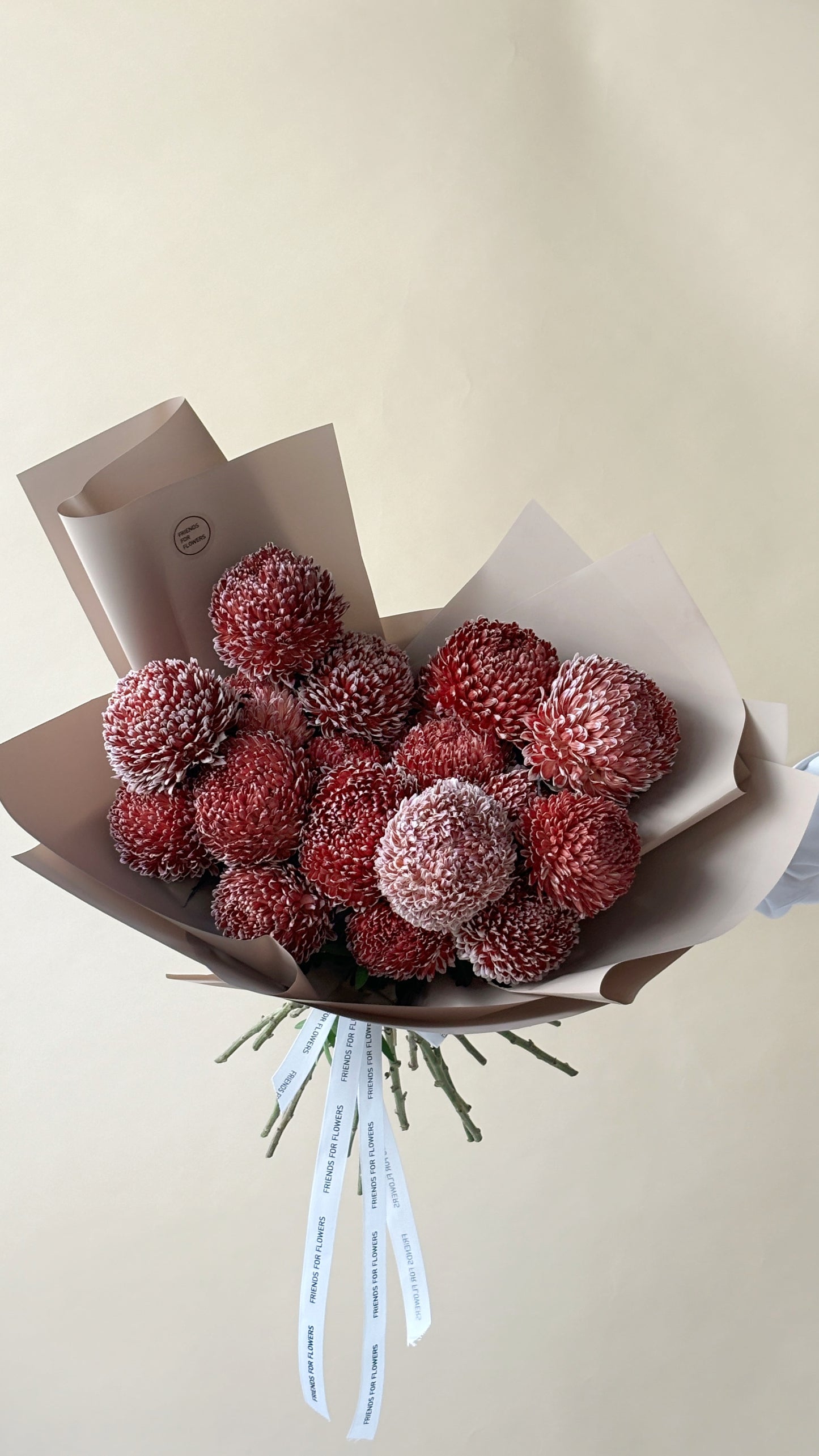 Pom Pom Obsession
