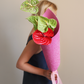 Bag of Anthuriums
