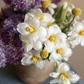 "Blooming minimalism