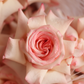 Bouquet "Angel"
