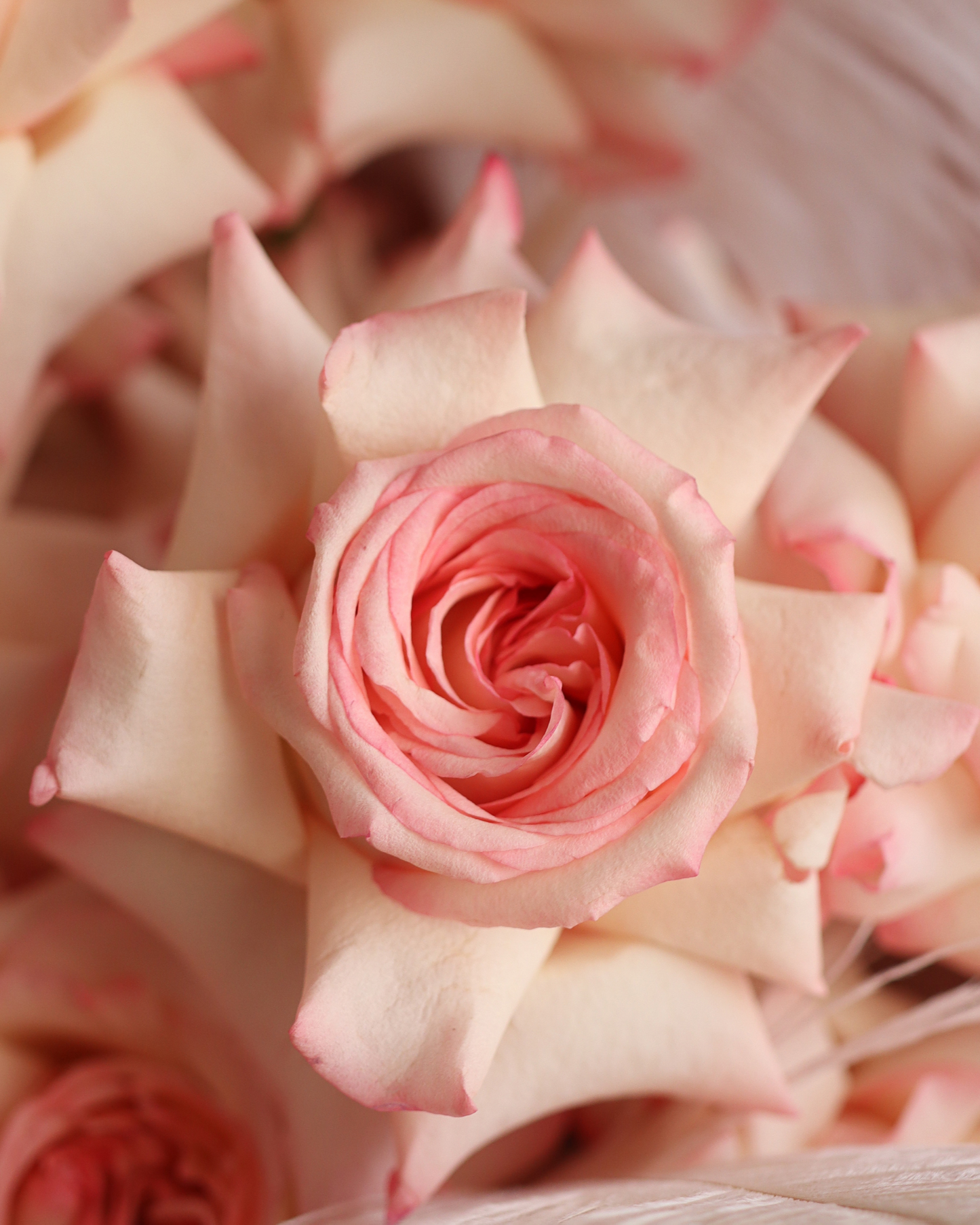 Bouquet "Angel"