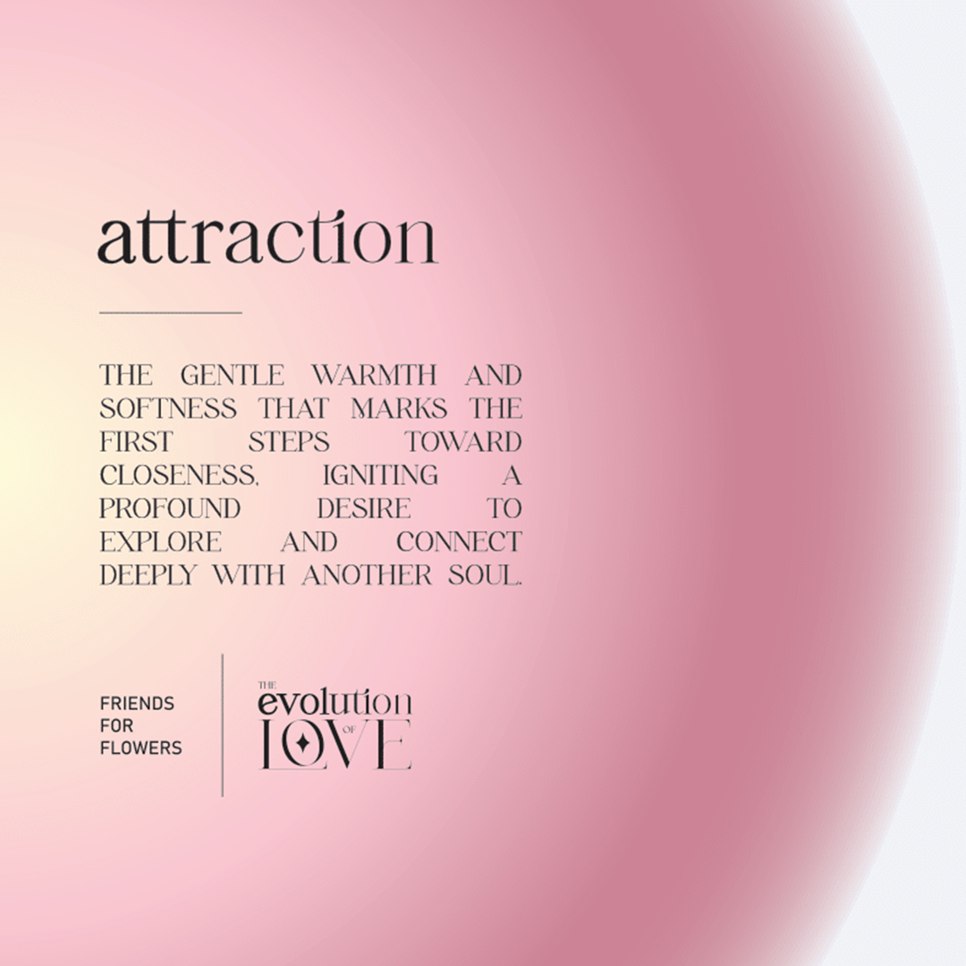 Attraction - Valentine's Day Gift Card