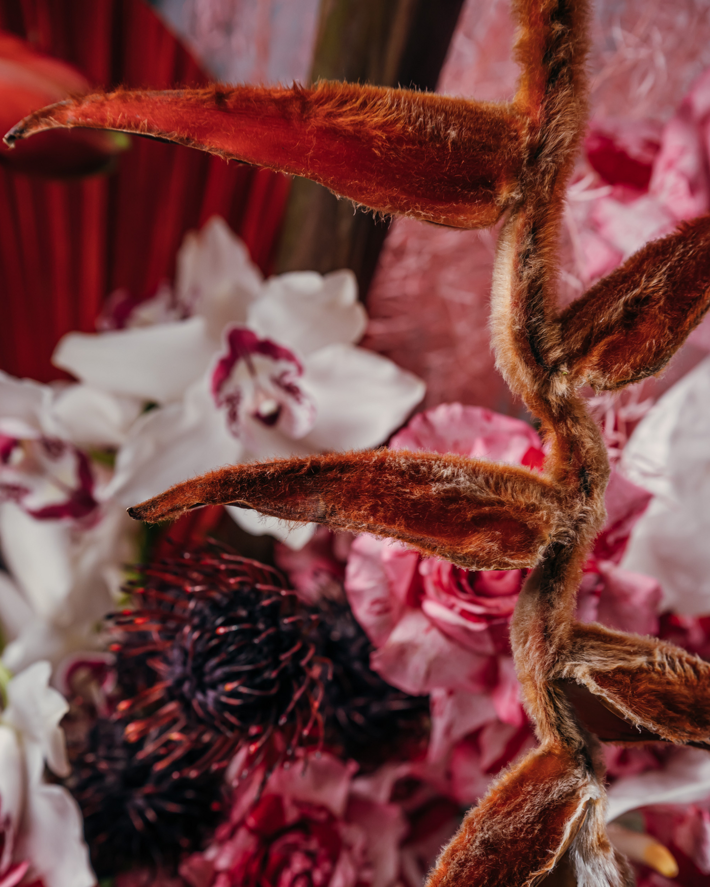 Bouquet "Exotic Monster"