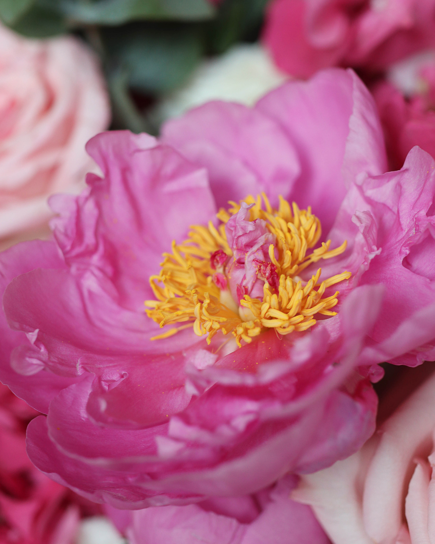 Bouquet "Strawberry jam"