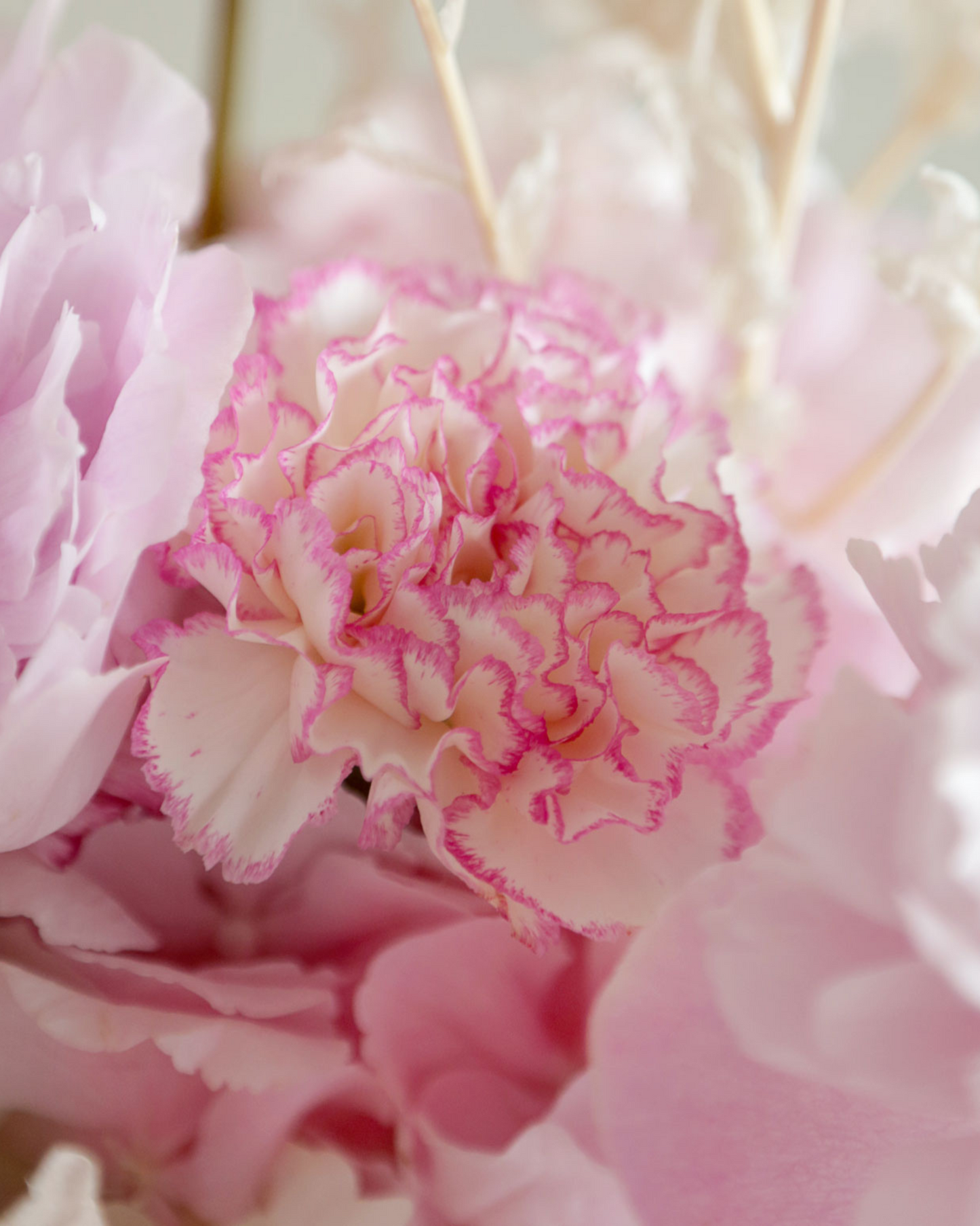 Flower box " Juicy peony"