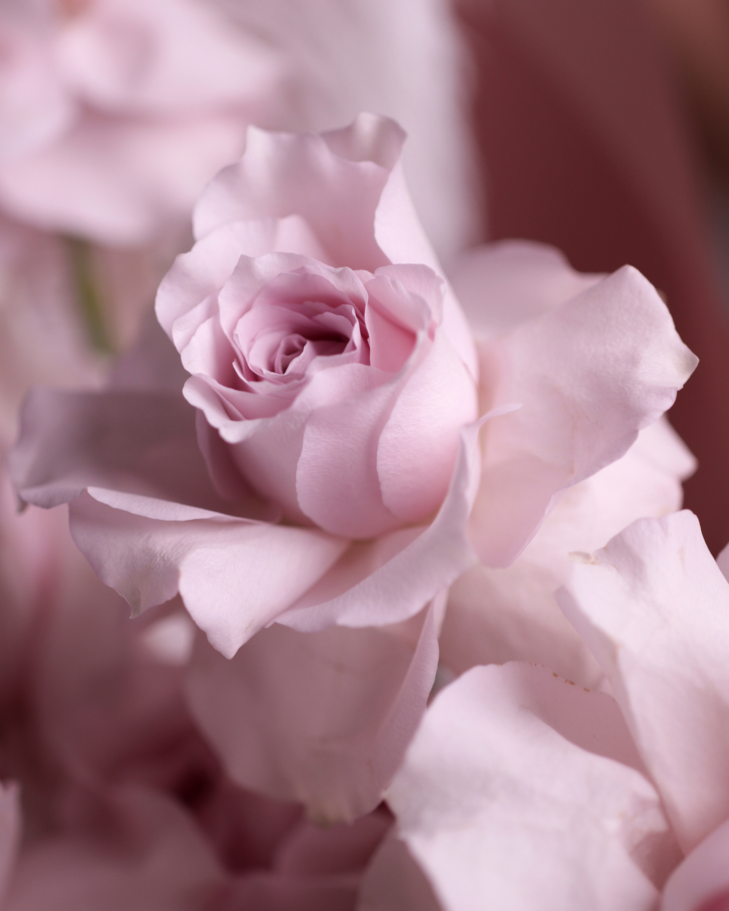 Bouquet "Milky nougat"