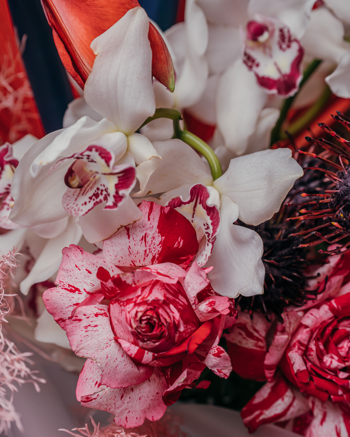 Bouquet "Exotic Monster"