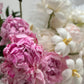 Arrangement “Attraction”