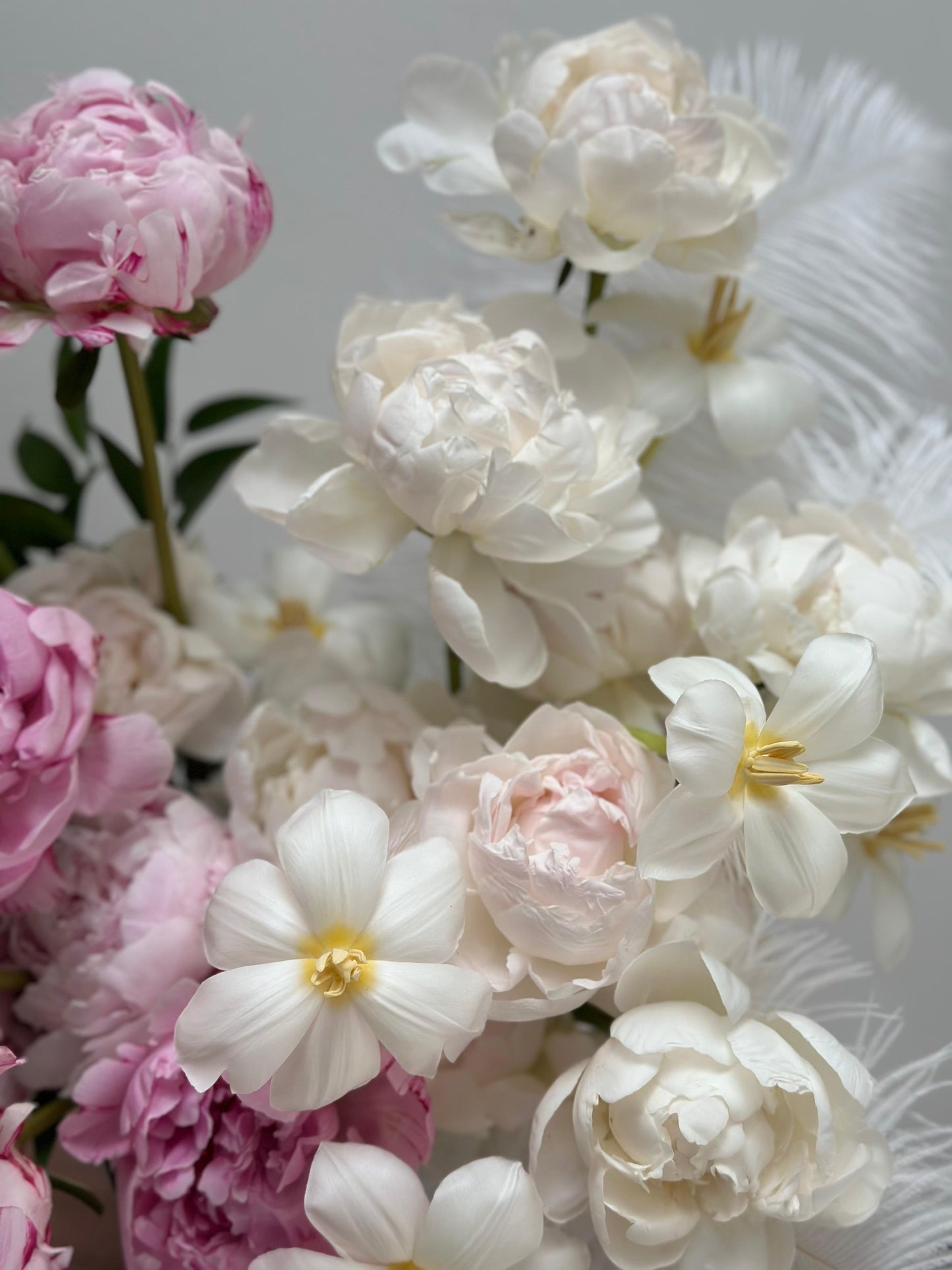 Arrangement “Attraction”